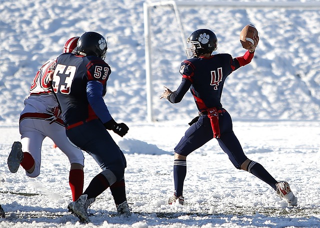 其中不乏在 其中不乏在