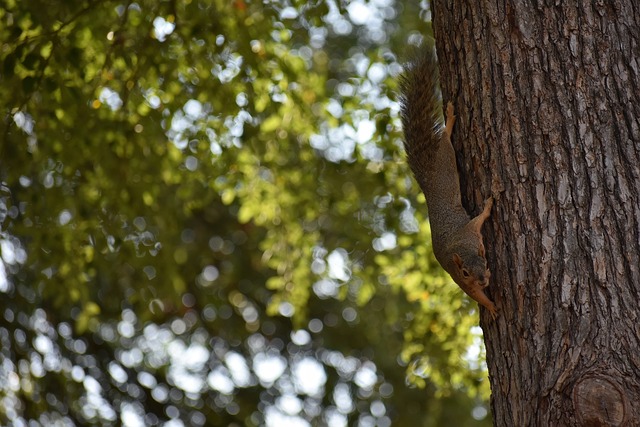 目的焦点对 目的焦点对