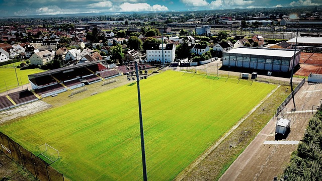 上充分吸纳 上充分吸纳